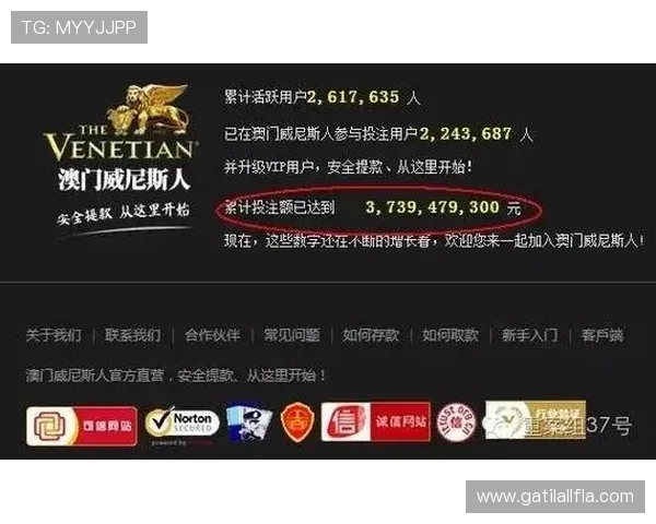新葡京娱乐线上开户常见问题及解决方案，助你无忧畅玩游戏世界